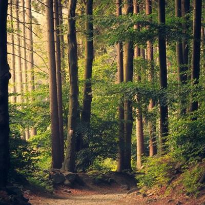 乐鱼(中国)官方网站app下载