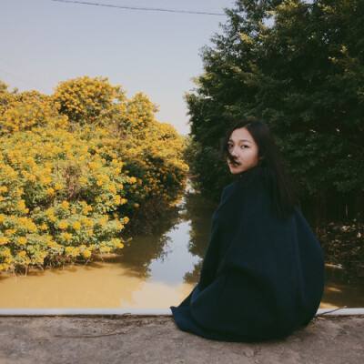 kok最新客户端手机app下载