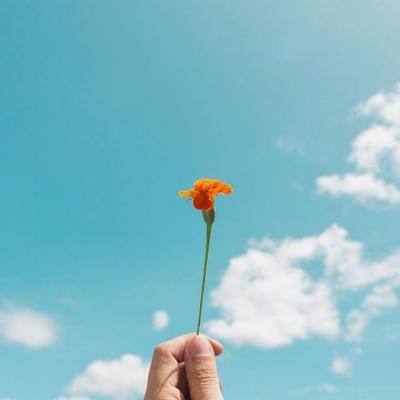 Im体育官方截图