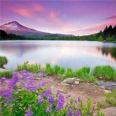 手机买彩票app下载下载手机版