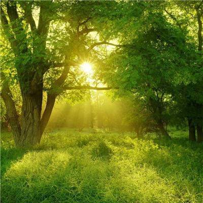 pg电子娱乐·(中国)游戏平台