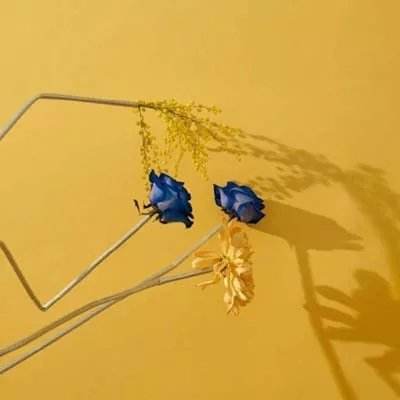 九游会agapp下载截图