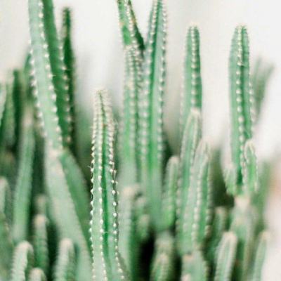 b体育官方体育app手机app下载